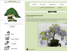 Tablet Screenshot of blogbonsai.com